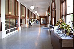 MEET ME AT THE COURT HOUSE